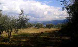 mistero-etrusco_panorama